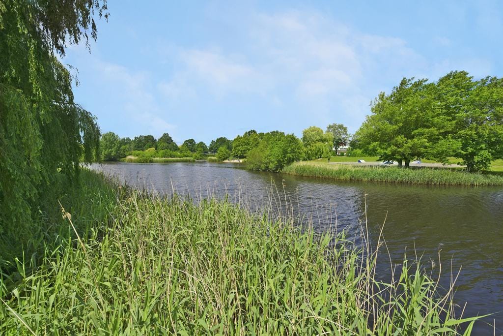 Foto 32 van Nagelkruid 4