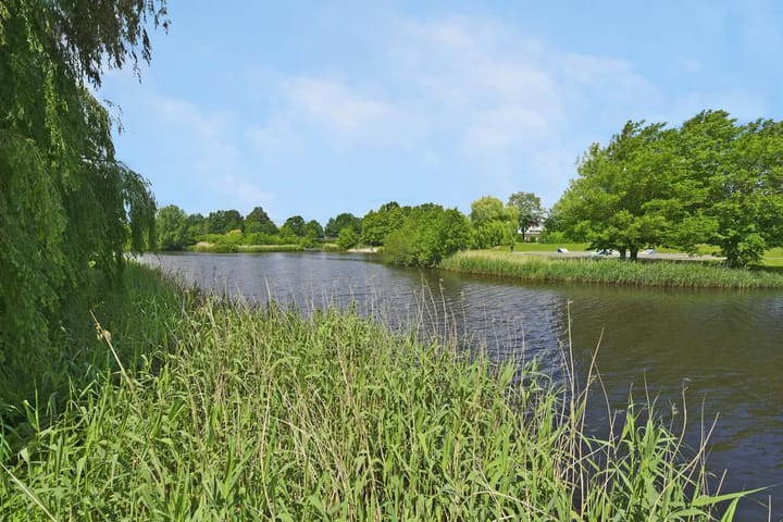 Foto 32 van Nagelkruid 4