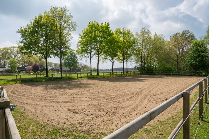 Foto 91 van Piepersweg 12