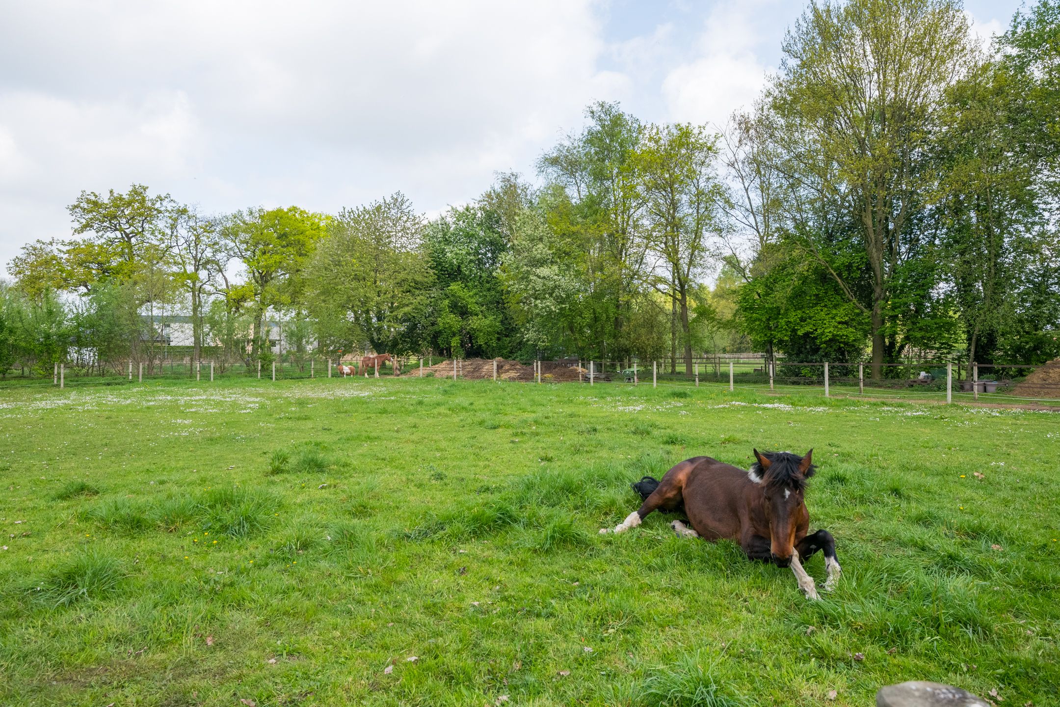 Foto 96 van Piepersweg 12