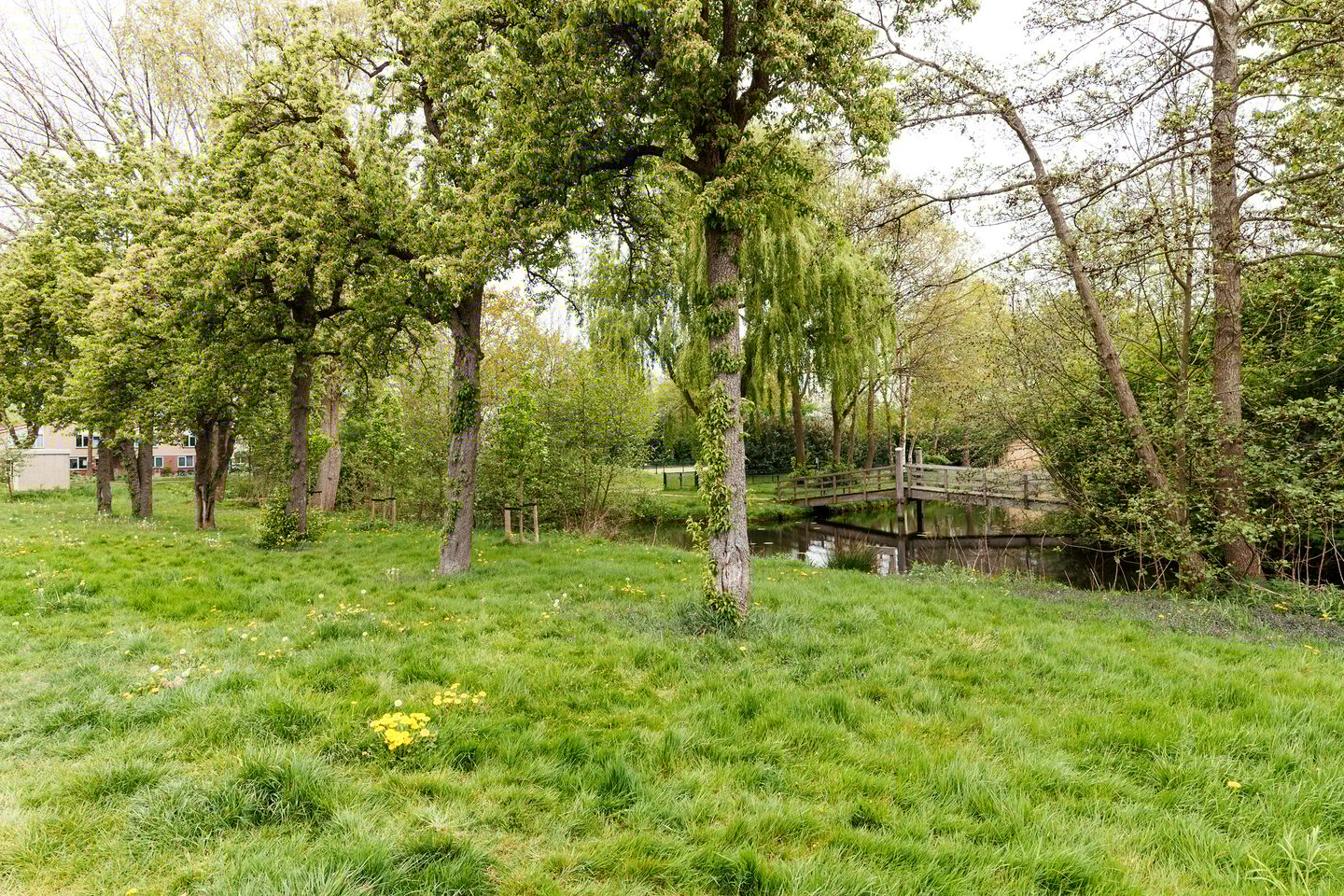 Photo 20 of Oudeland 29