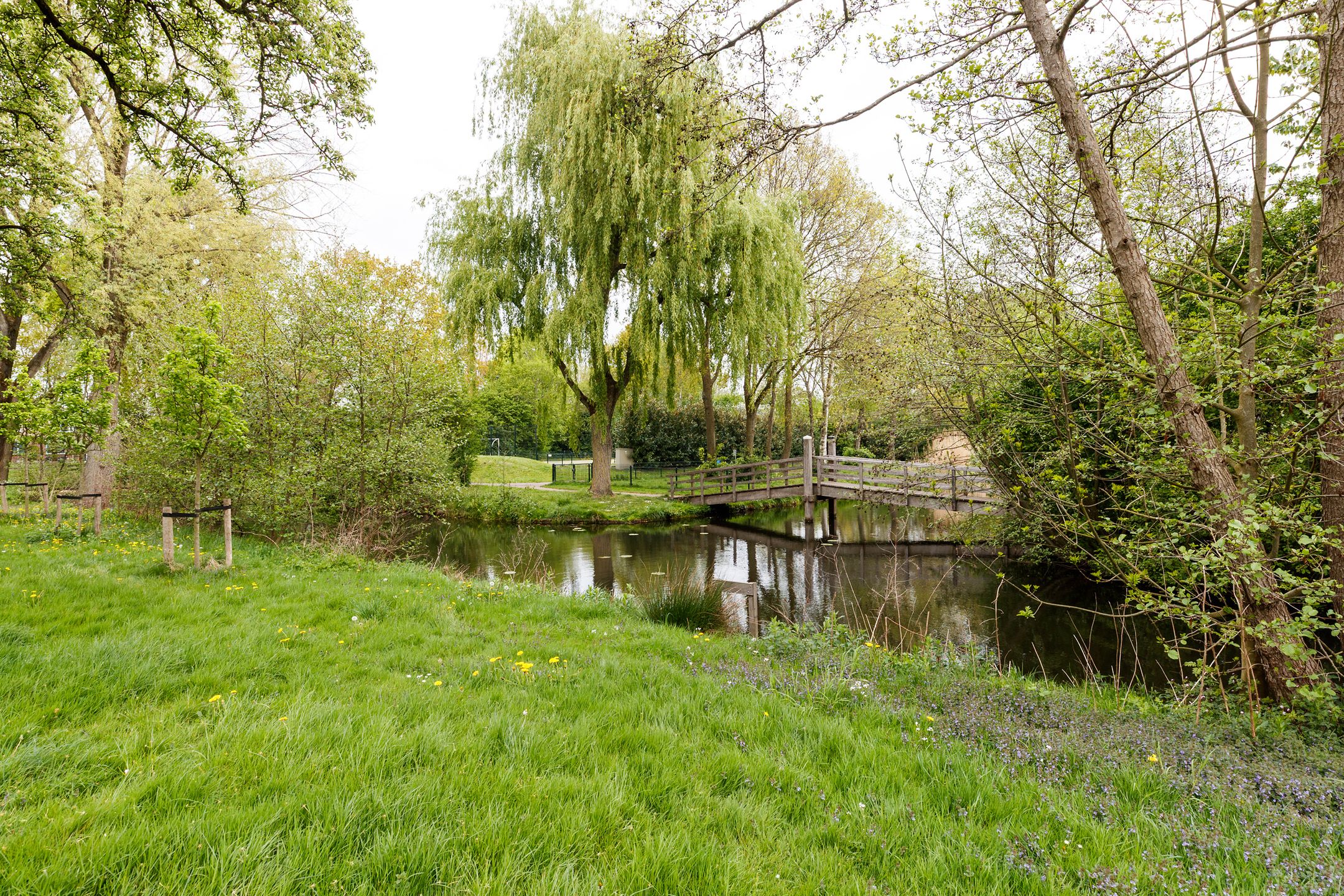 Photo 21 of Oudeland 29