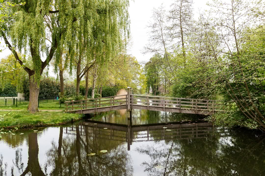 Photo 22 of Oudeland 29