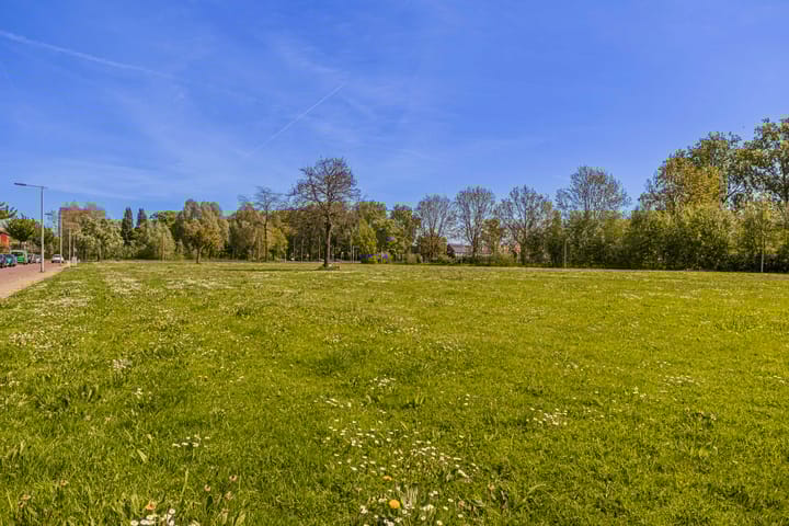 Foto 31 van Paardebloemstraat 78