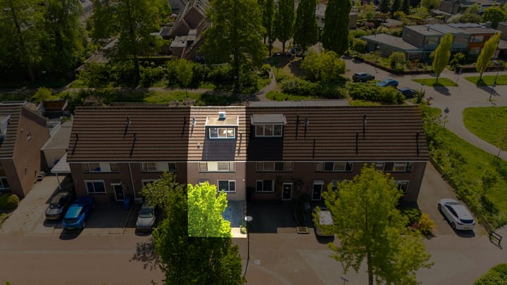 Photo 33 of Fluitekruid 25