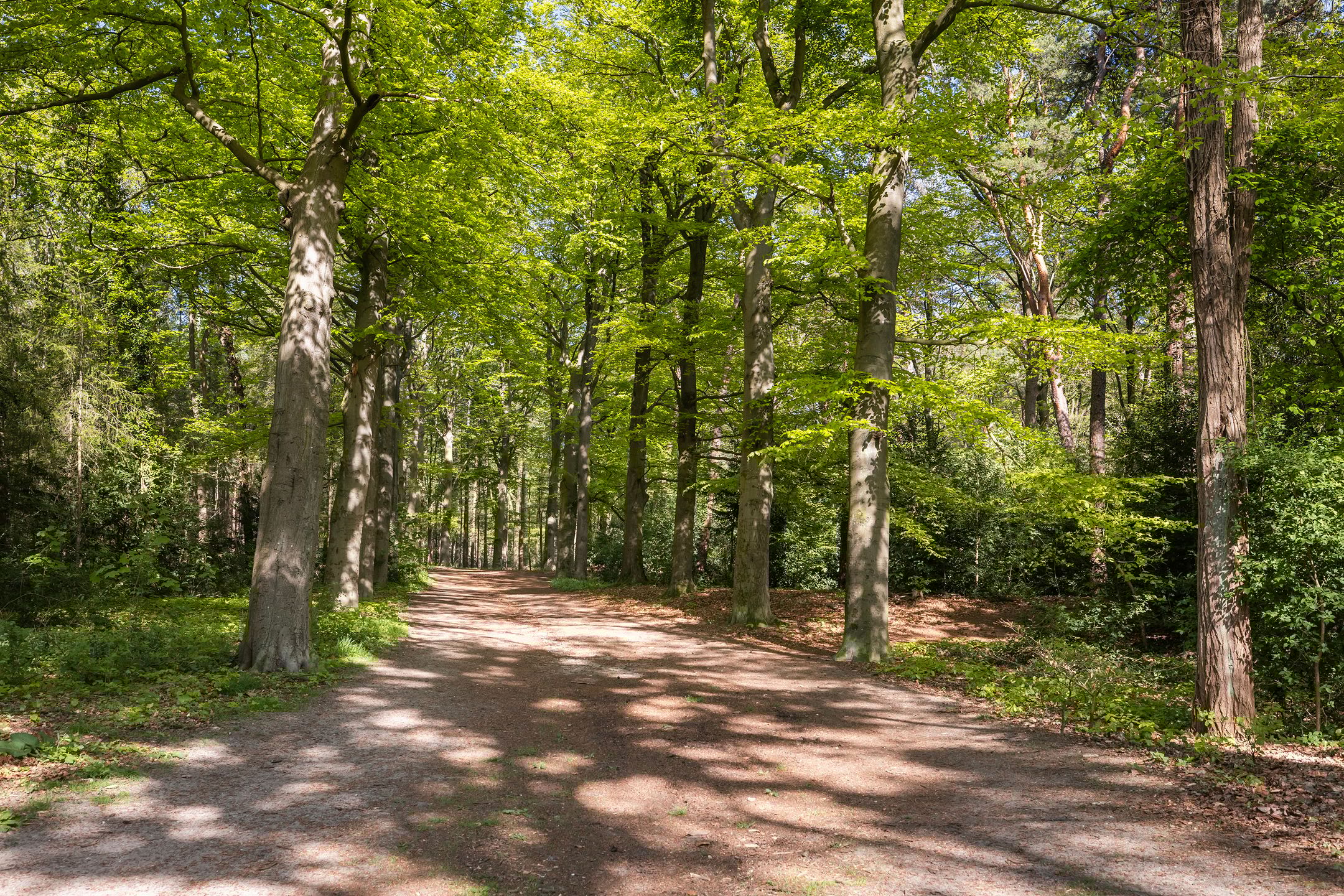 Foto 45 van Finsponglaan 9