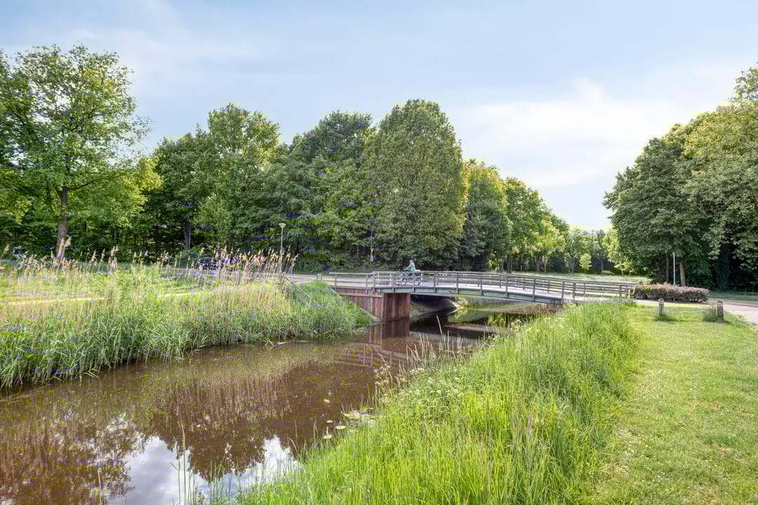 Foto 32 van Vedergras 18