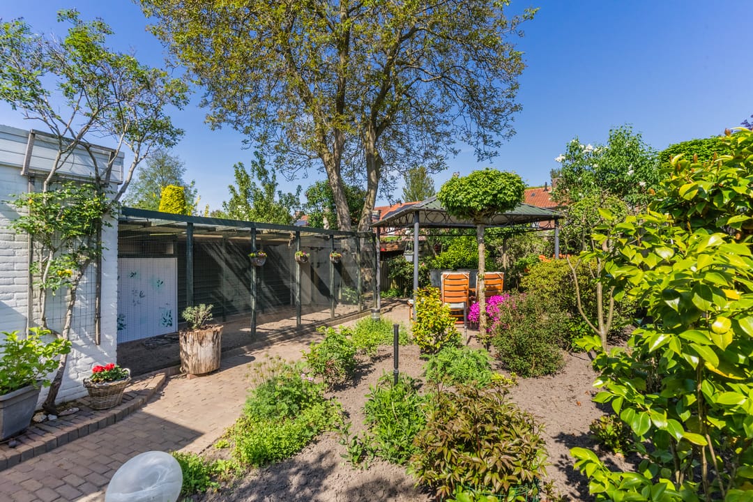 Foto 28 van Odradastraat 11