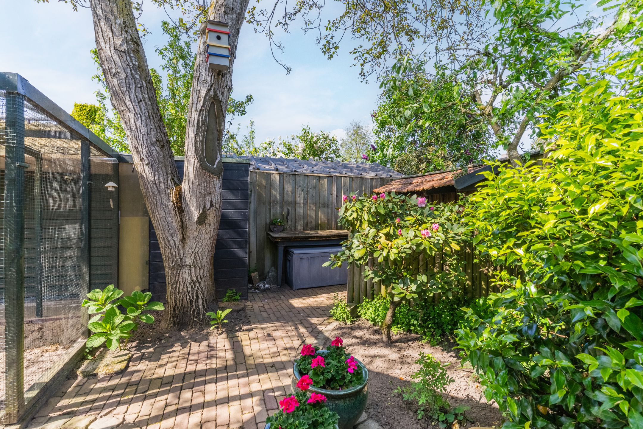 Foto 30 van Odradastraat 11