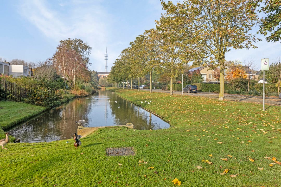 Foto 26 van Tholenstraat 140