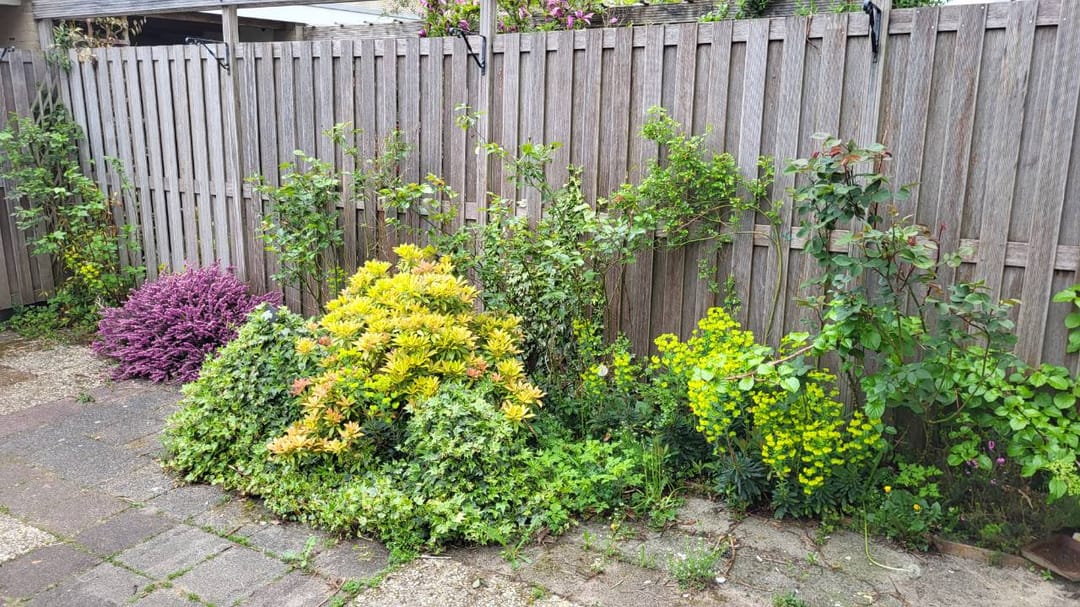 Foto 17 van Vossenkamp 59