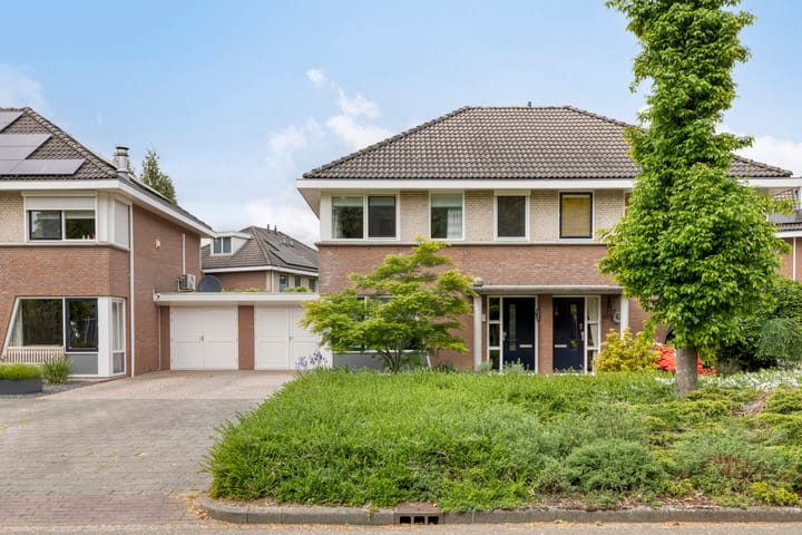 Foto 3 van de Loo 45