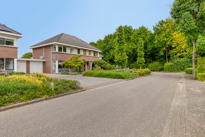 Foto 4 van de Loo 45