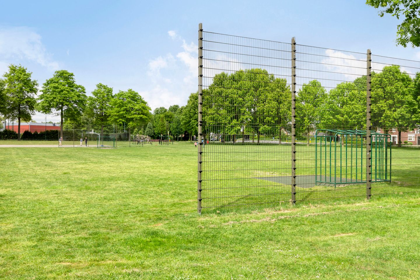 Photo 35 of de Loo 45