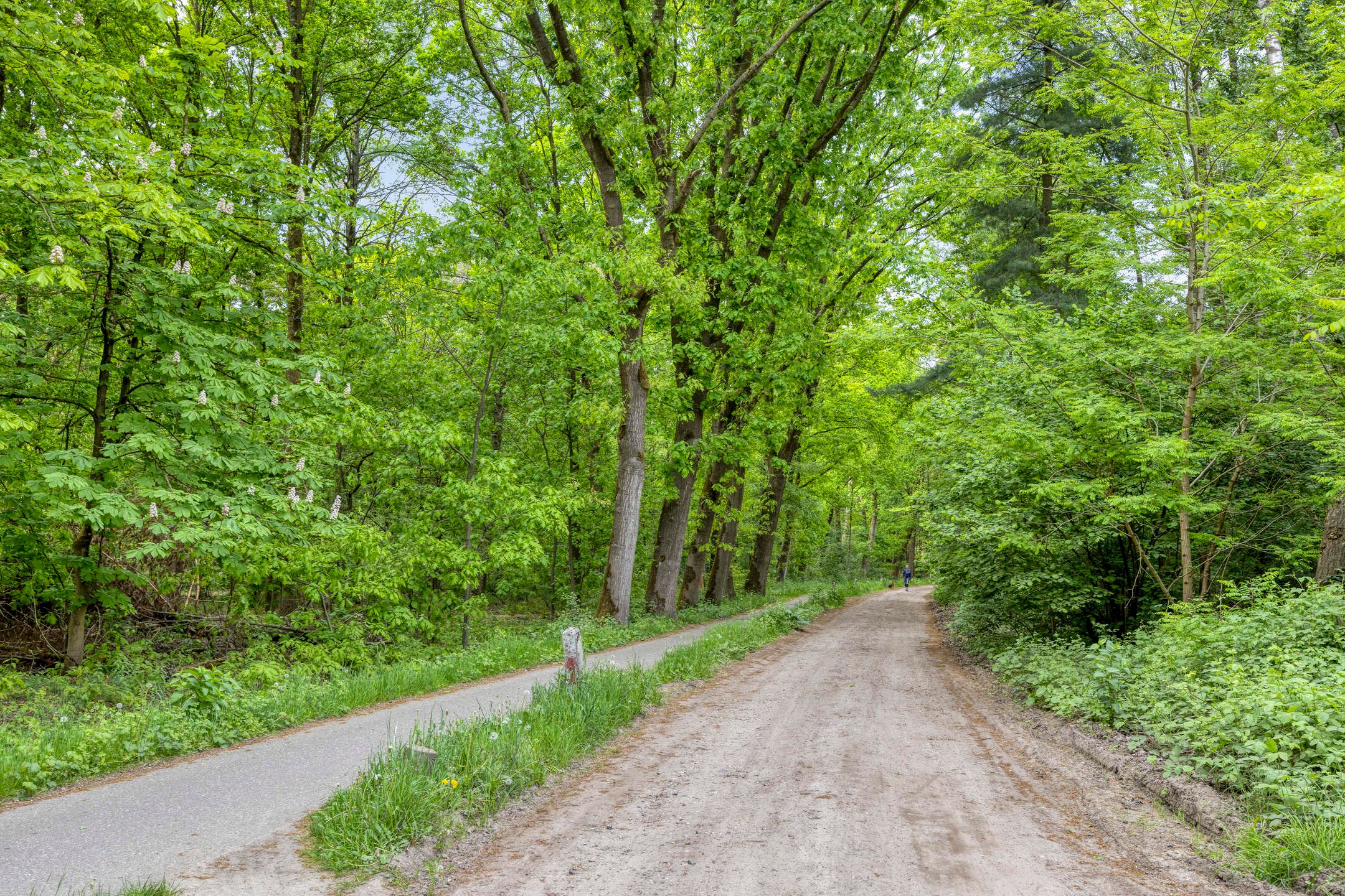 Photo 39 of de Loo 45