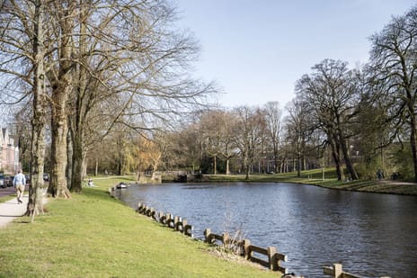 Schotersingel 117-A2 tertiary image