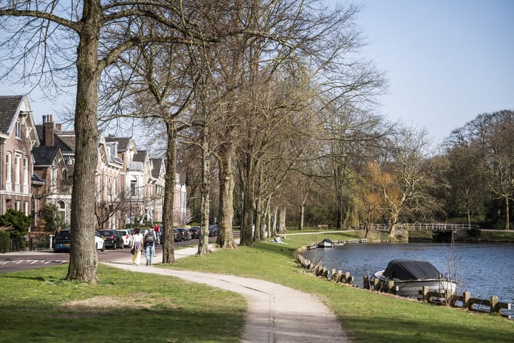 Foto 6 van Schotersingel 117-A2