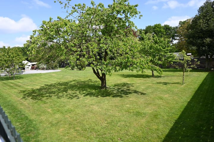 Foto 2 van Rooth 39-A