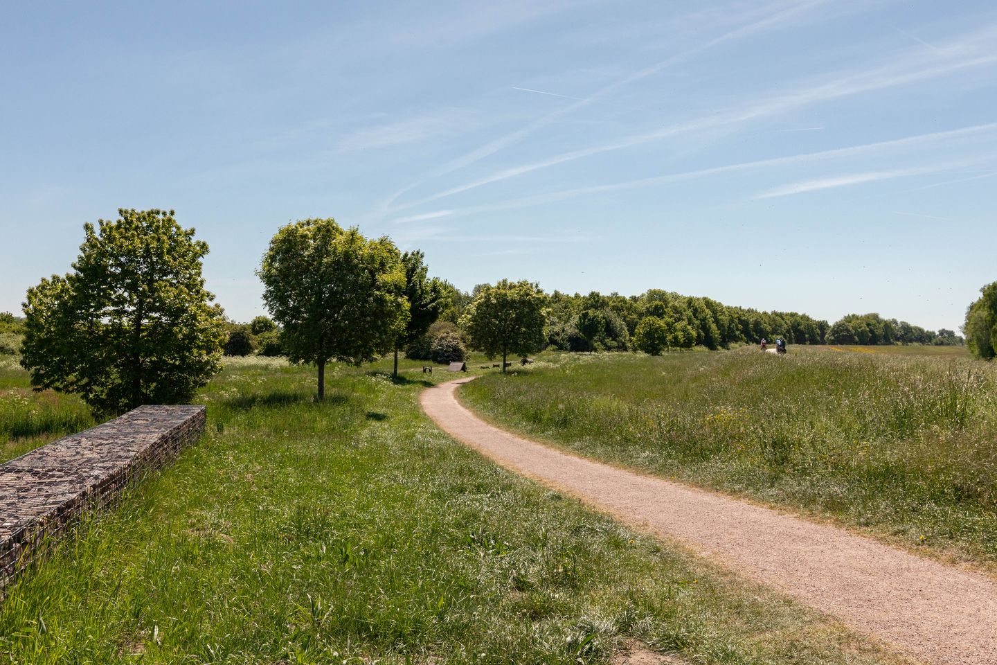 Photo 55 of Winde 53