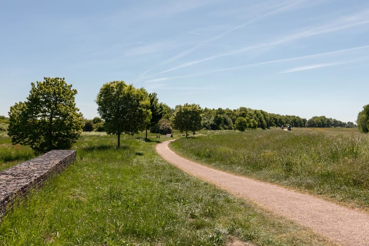 Photo 55 of Winde 53