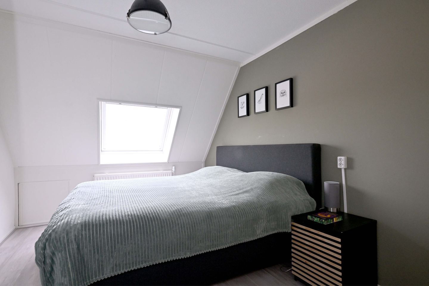 Foto 14 van Veldhommel 72