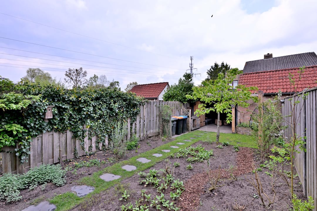 Foto 28 van Veldhommel 72