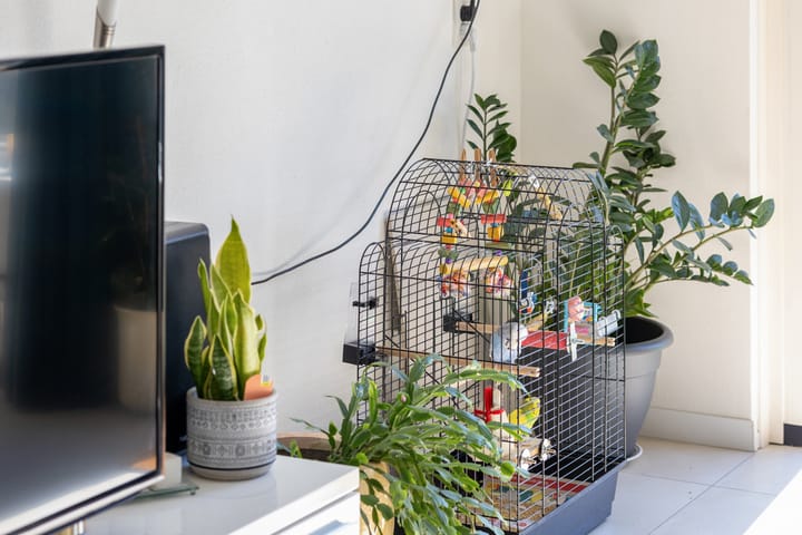 Foto 9 van Lauwersmeer 90