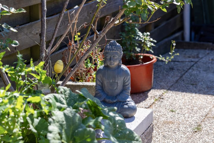 Foto 22 van Lauwersmeer 90