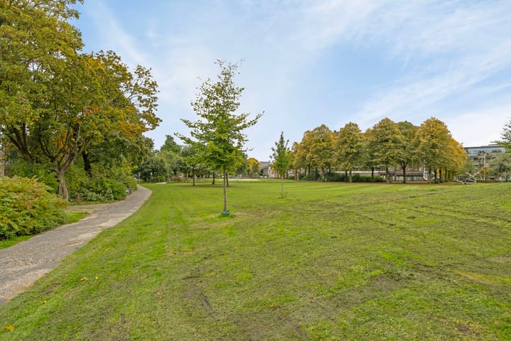 Foto 39 van Everard Zoudenbalchstraat 19