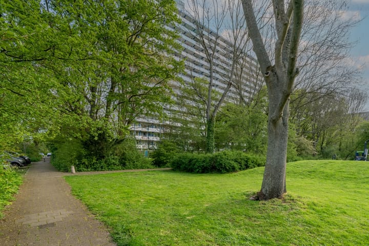 Foto 11 van Menno ter Braaklaan 183