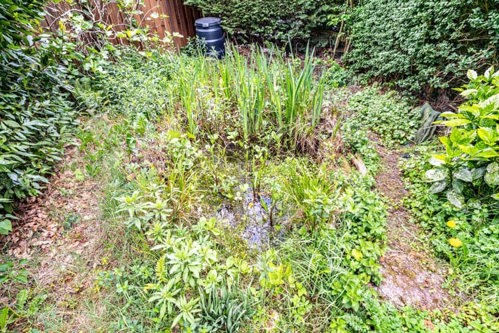 Foto 44 van Koningstraat 31