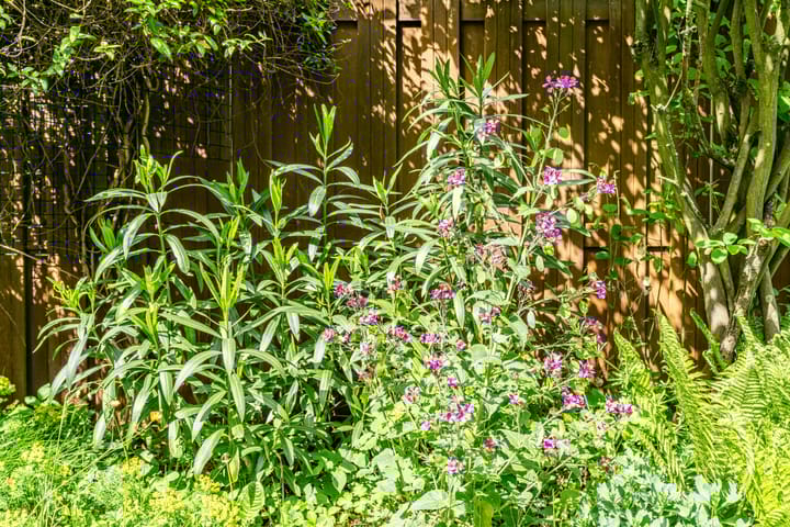 Foto 45 van Koningstraat 31