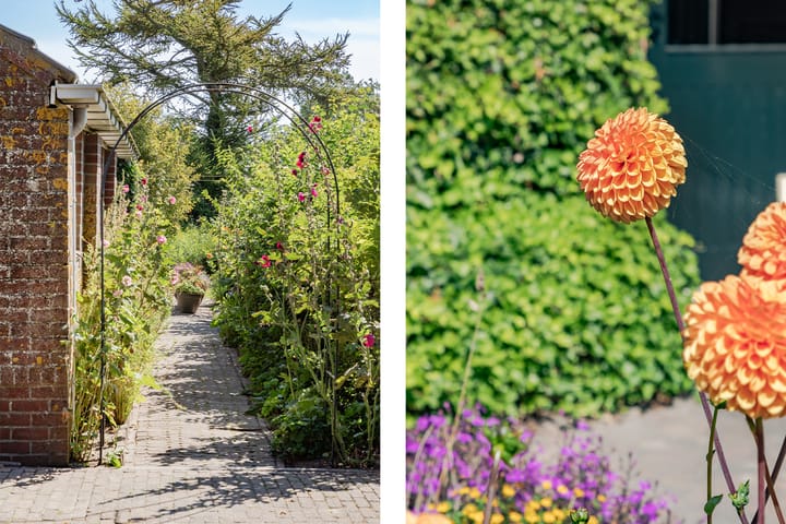 Photo 37 of Callantsogervaart 19-A