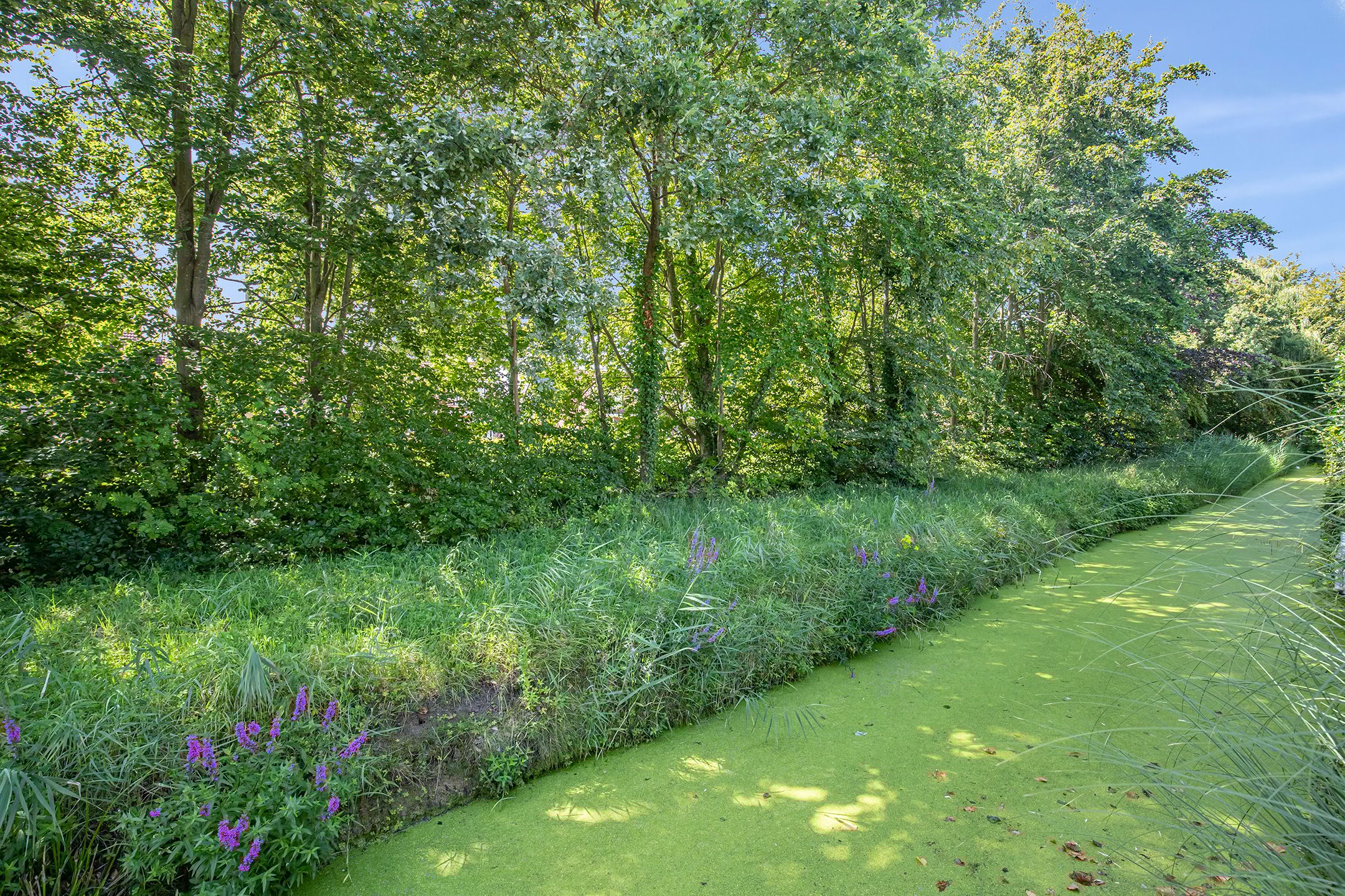 Foto 57 van Isaac Sweerslaan 17