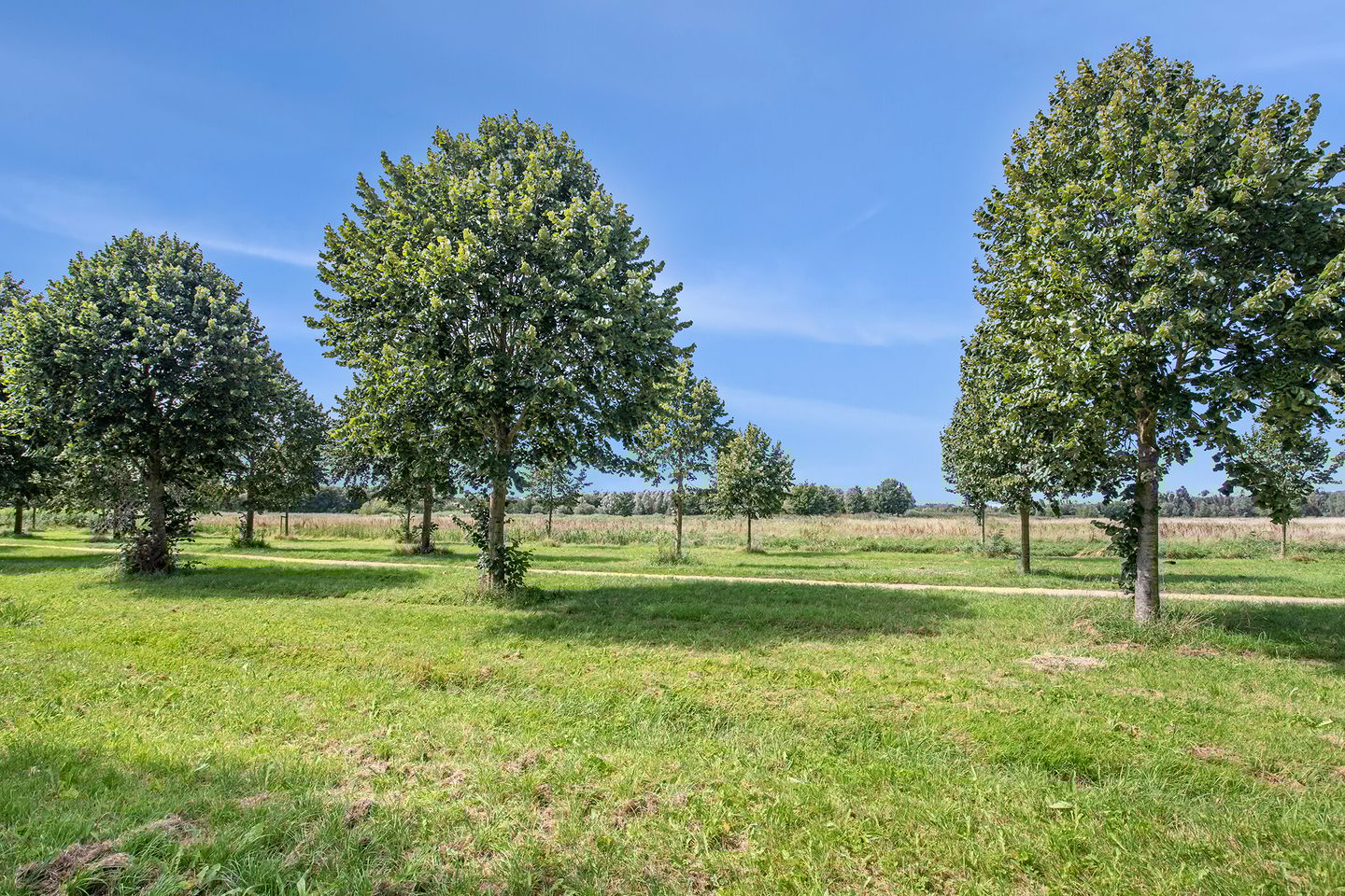 Foto 70 van Isaac Sweerslaan 17