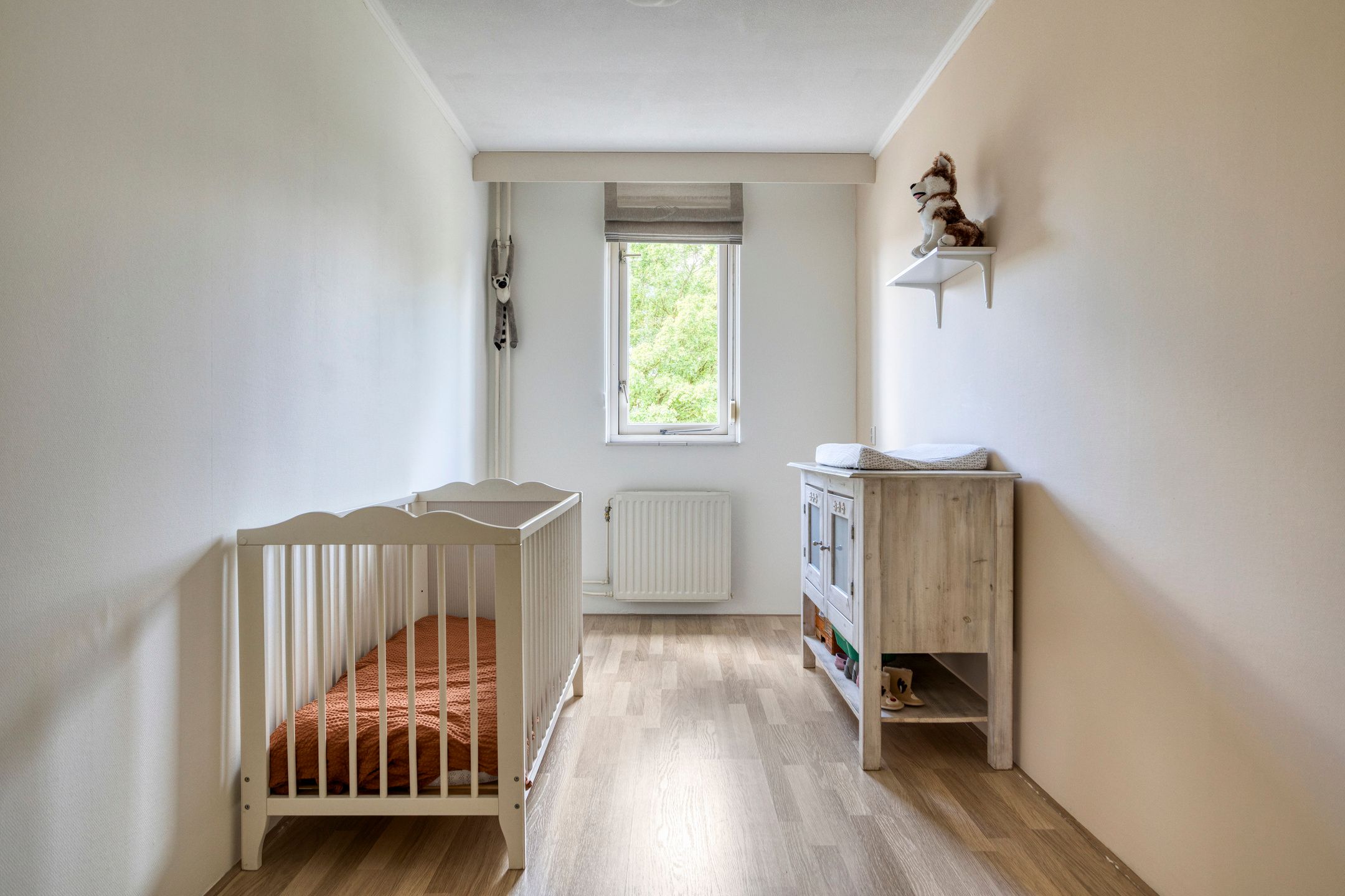 Foto 21 van Roerstraat 95