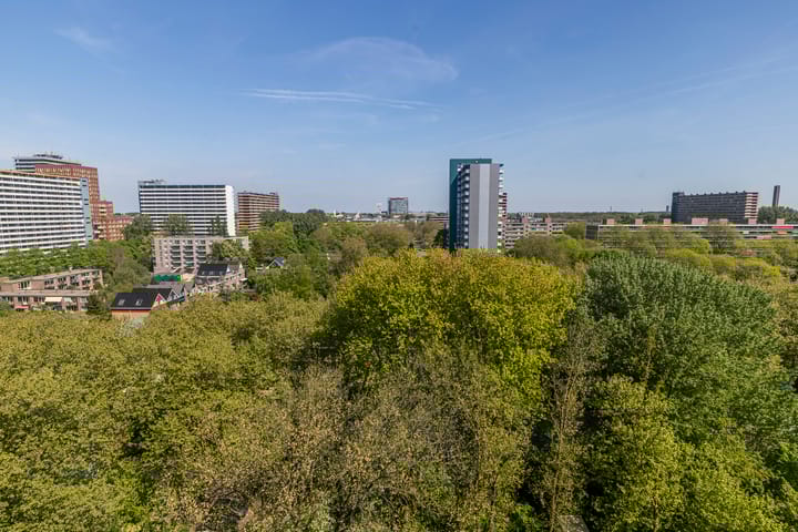 Photo 25 of Aart van der Leeuwlaan 154