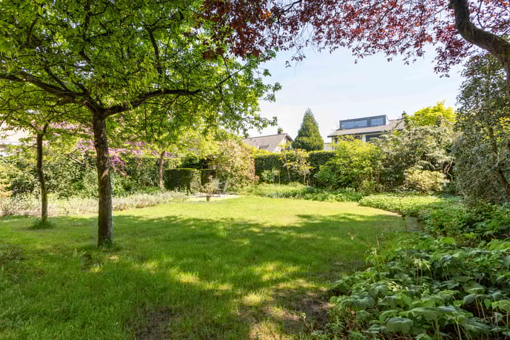 Foto 3 van Coornhertstraat 11