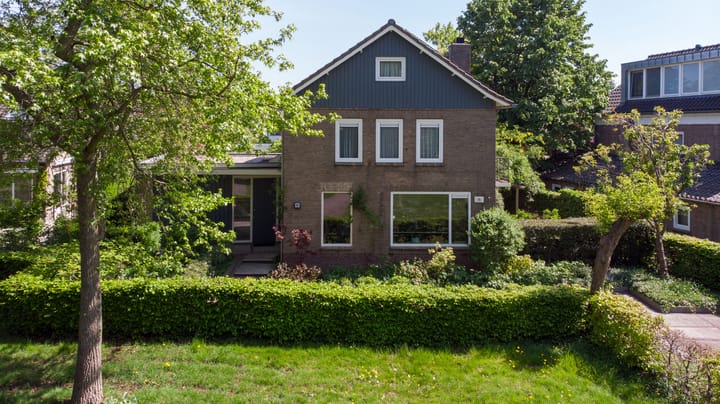 Foto 49 van Coornhertstraat 11