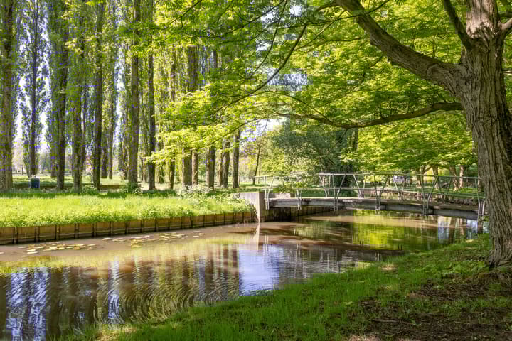 Foto 60 van Coornhertstraat 11