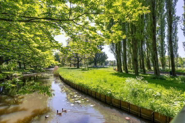 Foto 61 van Coornhertstraat 11