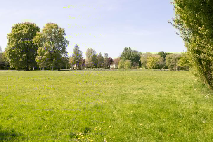 Foto 62 van Coornhertstraat 11