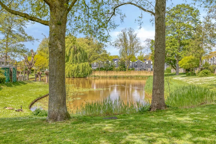 Foto 36 van Lambertijnenlaan 31