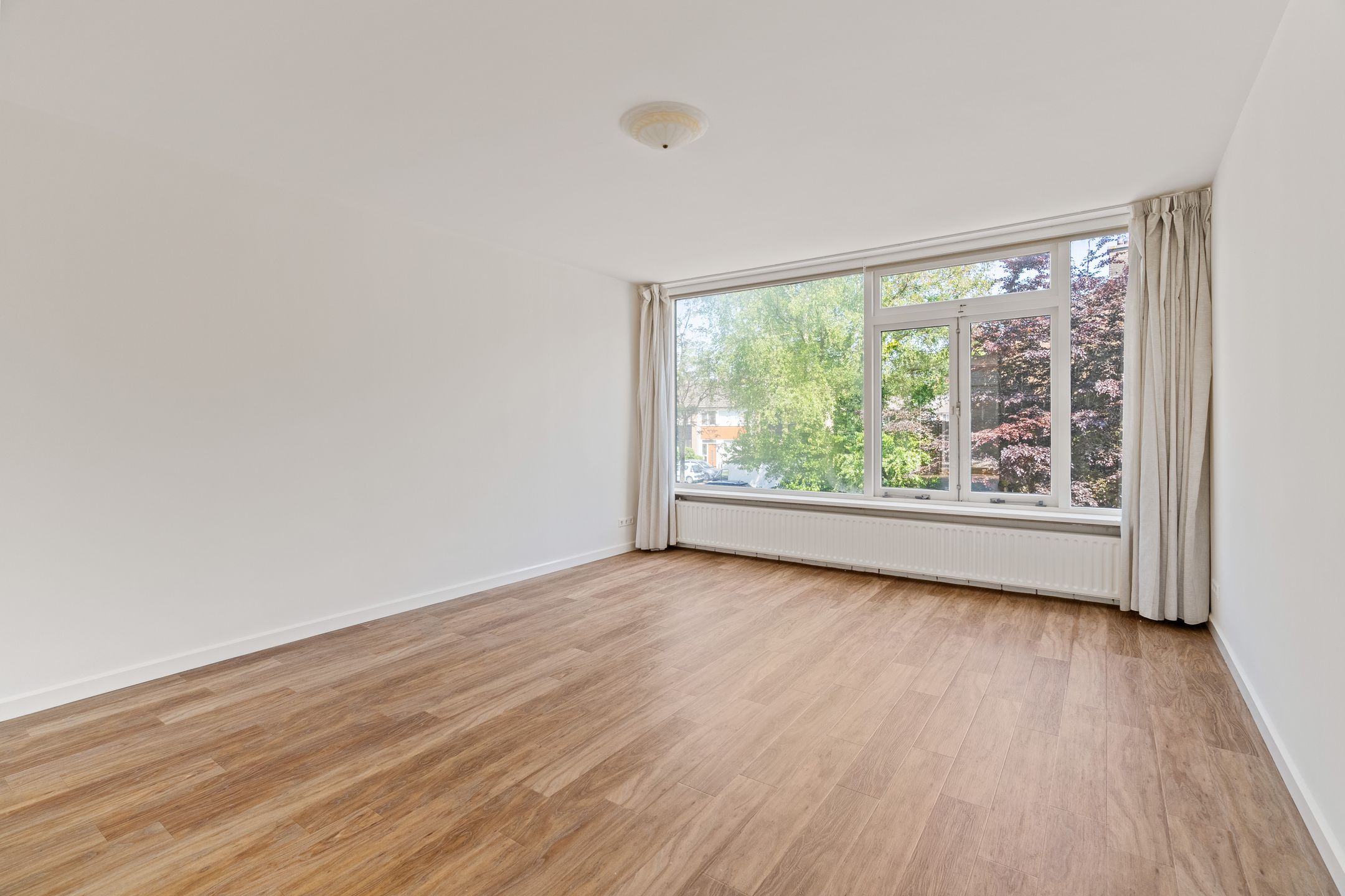 Foto 6 van Passiebloem 39