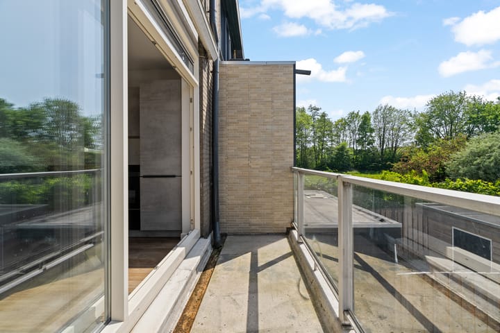 Photo 10 of Passiebloem 39