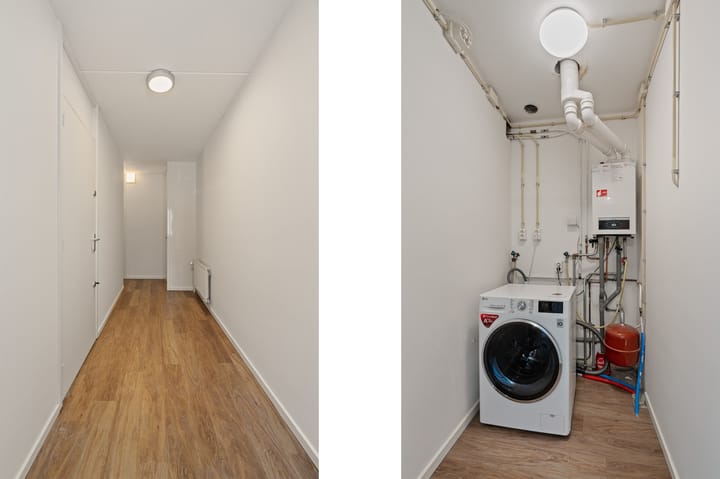 Photo 21 of Passiebloem 39