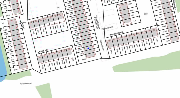 Photo 35 of Passiebloem 39