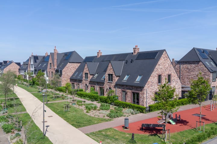 Foto 1 van Regenboogforel 3