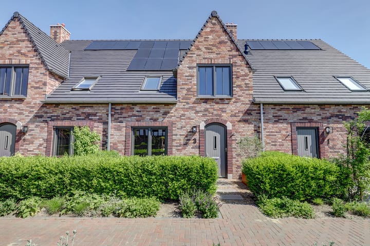 Foto 6 van Regenboogforel 3