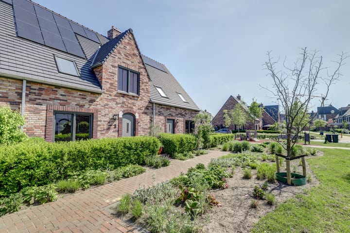 Foto 7 van Regenboogforel 3